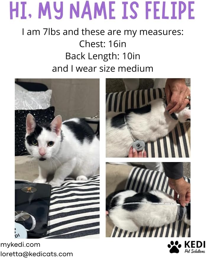 Kitten Recovery Suit Female, Kitten Onesie After Spay, Cat Surgery Suit Female - Image 6