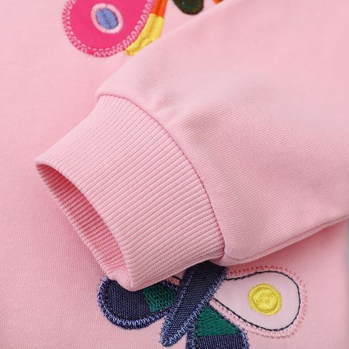 Toddler Baby Girls Cotton Sweater, Long Sleeve Crewneck Sweatshirt Pullover - Image 5