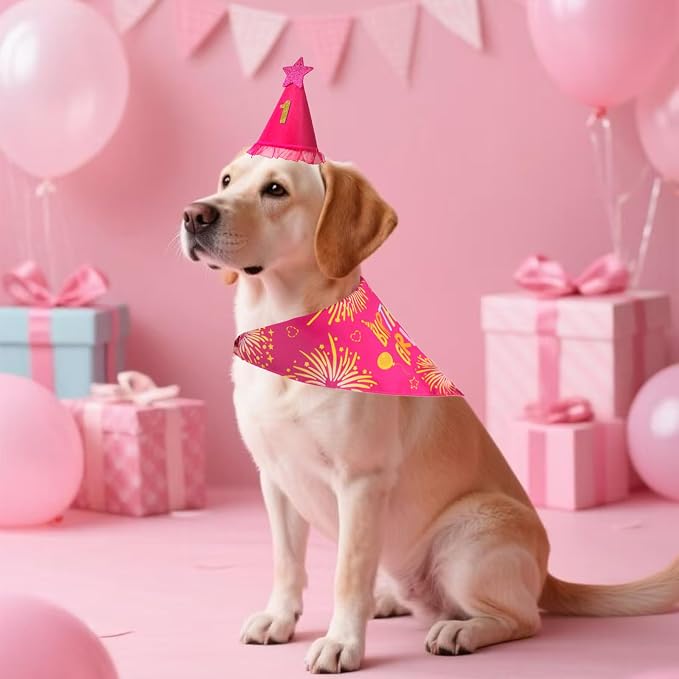 Dog Birthday Party Supplies, Rose Pink Dog Birthday Set - Image 8