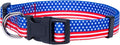 Native Pup American Flag Dog Collar- Red White and Blue- Patriotic Collars by NativePup