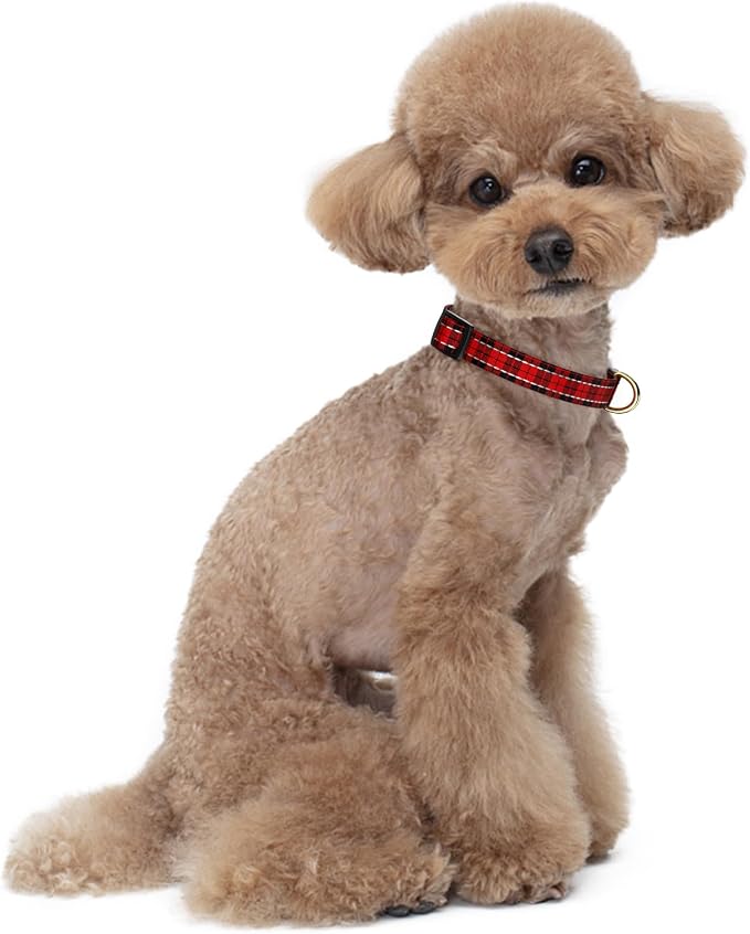 Reflective Dog Collar for Small Dogs, Cute Boho Adjustable Heavy-Duty Nylon - Image 2