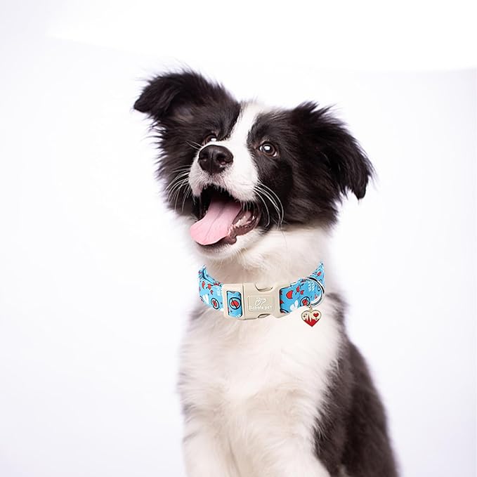 Valentines Dog Collar, Cute Loving Heart Printed Collar - Image 5