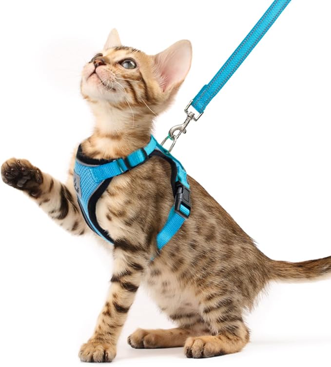 PUPTECK Cat Harness and Leash Set Escape Proof Reflective Cat Walking Harness by PUPTECK