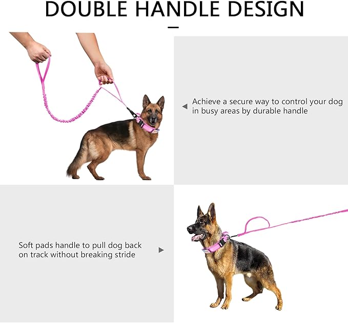 DAGANXI Tactical Dog Collar, Adjustable Military Training Nylon Dog Collar - Image 6