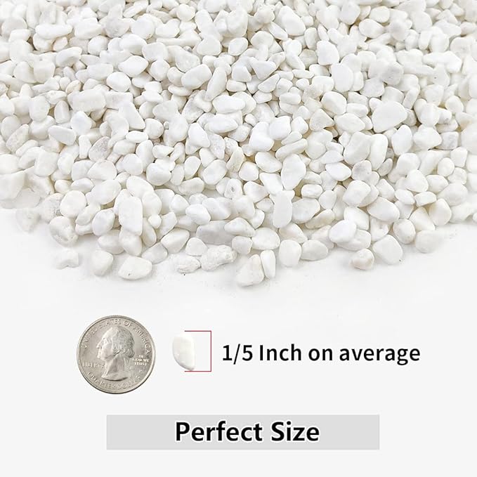 2LB Succulent and Cactus Gravel Pebbles, 1/5 Inch White Natural Decorative - Image 2