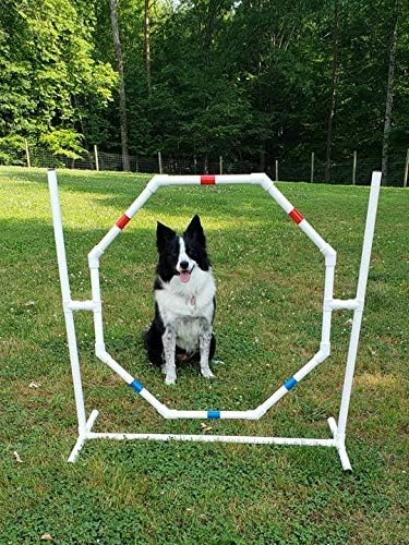 Dog Agility Equipment Deluxe Beginner Set, 3 Bar Jumps, 6 Weave Poles, 1 - Image 4
