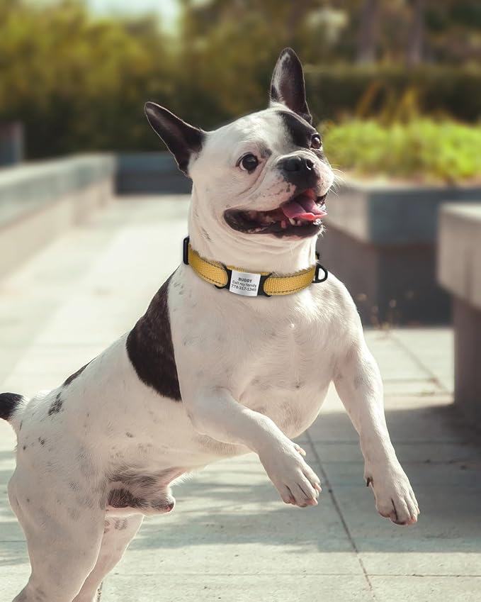TagME Reflective Nylon Dog Collars, Adjustable Classic Collar - Image 2