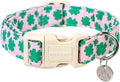 DOGWONG St. Patrick's Day Dog Collar by DOGWONG