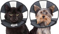ZenPet Recovery Cone E-Collar for Dogs & Cats – Soft, Comfortable, Safe & by ZenPet