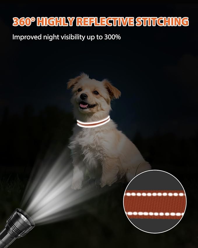 Joytale Small Dog Collar, Reflective and Adjustable Nylon Collar - Image 5