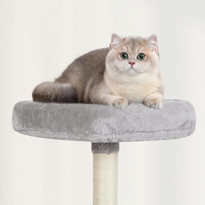 MIAO PAW Grey Cute Cat Tree for Indoor Cat Tower - Image 4