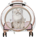 Transparent & Fully Breathable Hard Cat Carrier by CeRaBuRET