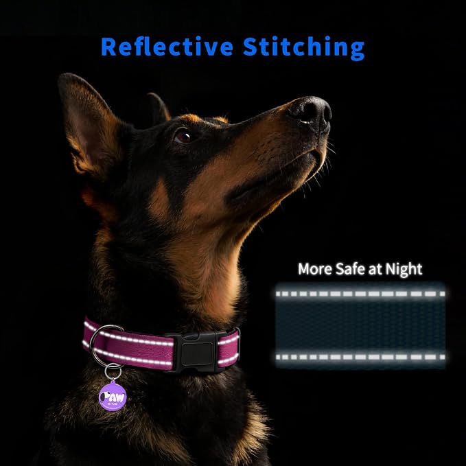 Reflective Dog Collar for Small Dogs - Image 3