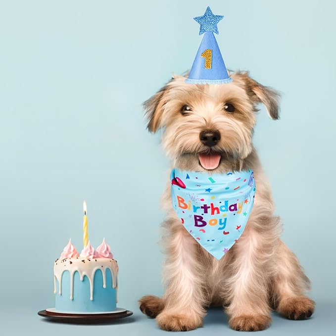 Dog Birthday Bandana Set, Dog Birthday Party Supplies, Puppy Boy Girl Birthday - Image 6