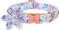 Lionheart Glory Dog Collar, Cute Floral Pattern Pet Collar Adjustable Dog Collar by LionheartGlory