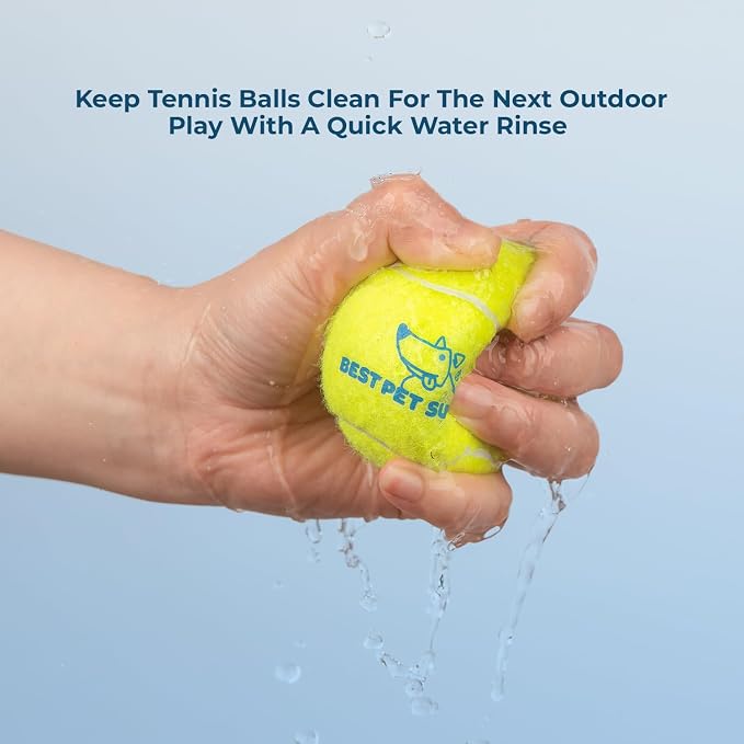 Best Pet Supplies Interactive Squeaky Dog Chew Toy, Ideal Dog Toys - Image 4