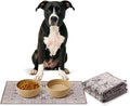 LOVEWAG Waterproof 2-Pack Pet Feeding Mats by Lovewag