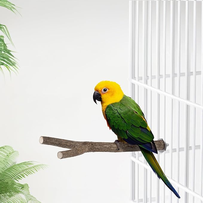 Niteangel Natural Wooden Perches - Image 6