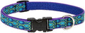 LupinePet Originals 3/4" Rain Song 13-22" Adjustable Collar by LupinePet