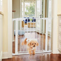 MYPET North States Wide Walk Thru EasyPass Pet Gate by MyPet