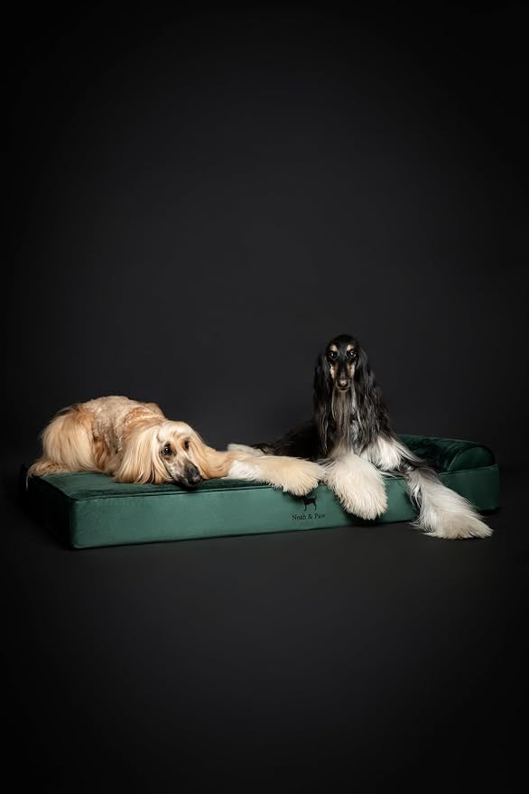 NOAH & PAW Giant Dog Bed XXL 55x45x9.5 Inch, Orthopedic Dog Beds, Eggshell - Image 6