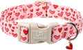 Valentine's Dog Collar, UP URARA PUP Pink Heart in Red Adjustable Pet Collar by UPURARAPUP