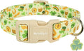 St. Patrick's Day Dog Collar, Light Green Puppy Collar by Unknown