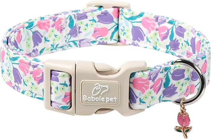 Floral Dog Collar for Large Dogs by Babolepet