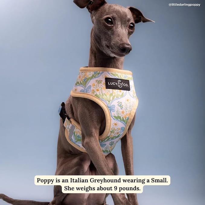 Lucy & Co. Sunshine and Daffodils Reversible Dog Harness, Adjustable Comfort Fit - Image 5