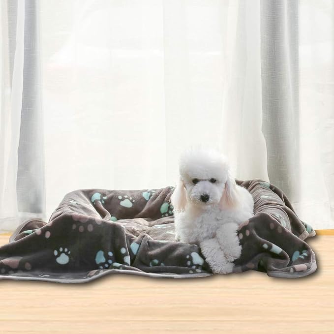 Allisandro 350 GSM-Super Soft and Premium Fuzzy Flannel Fleece Pet Dog Blanket - Image 6