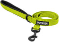 Best Pet Supplies Voyager Reflective Dog Leash or Collar by BestPetSuppliesLLC