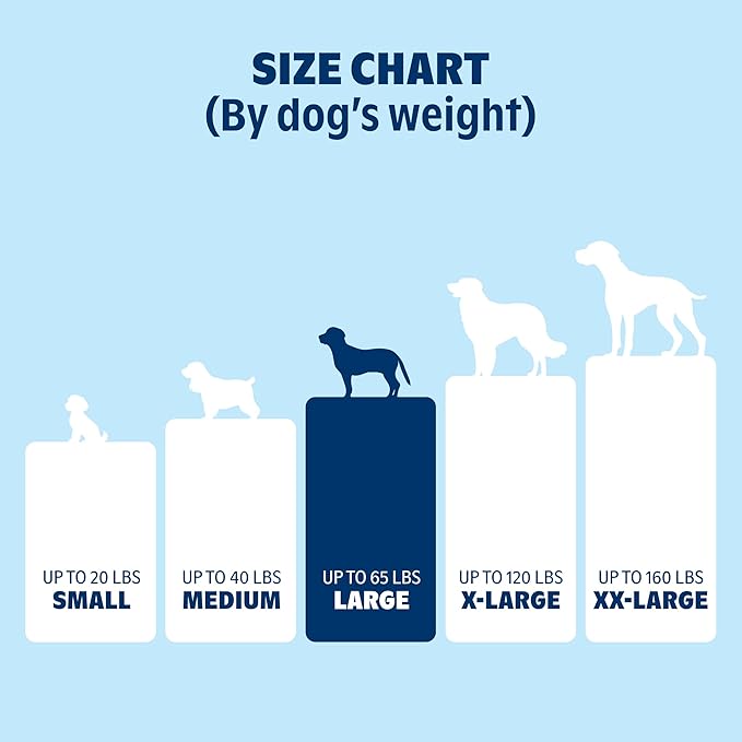 Barkbox Orthopedic Dog Bed - Image 4