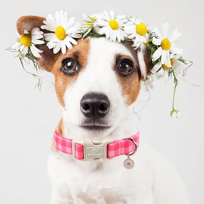 Girl Dog Collar for Small Dogs - Image 7