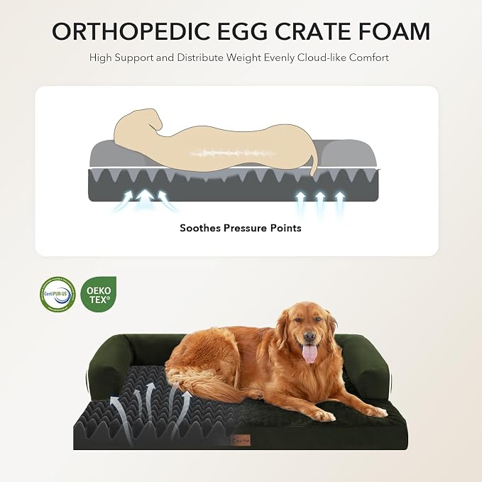 Orthopedic XXL Dog Beds, Waterproof Egg Crate Foam Big Pet Bed - Image 2