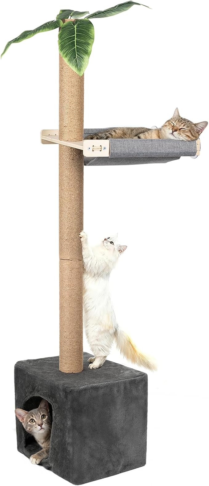 XiaZ Cat Window Perch with Tall Scratching Post, Sleeping & Watching Birds by XiaZPet