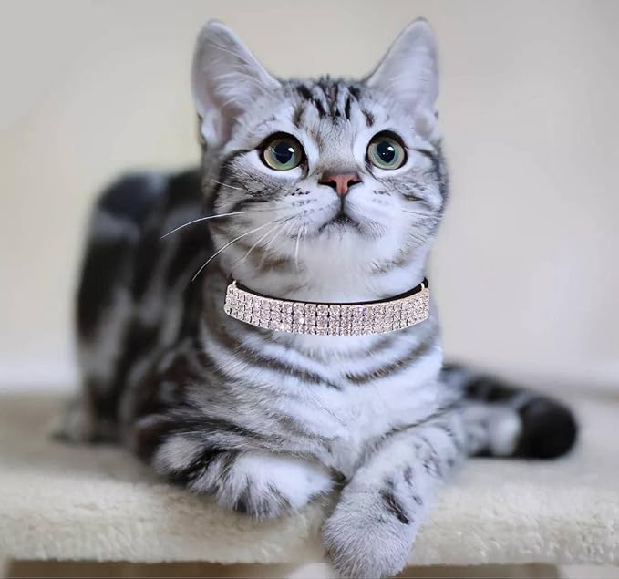 THAIN Rhinestones Cat Dog Collar Soft Velvet Safe Adjustable Collar Bling - Image 5