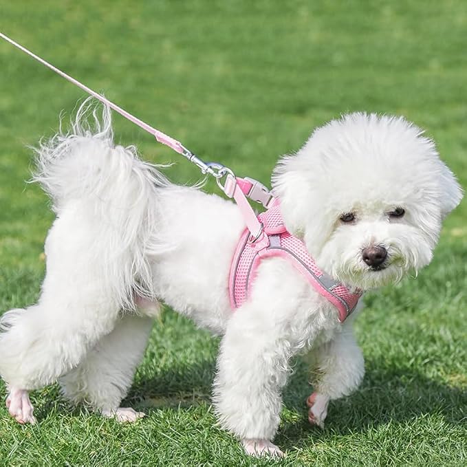 AIITLE Escape Proof Dog Harness - Image 4