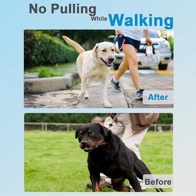 Dog Collar with Quick Release Buckle - Image 4