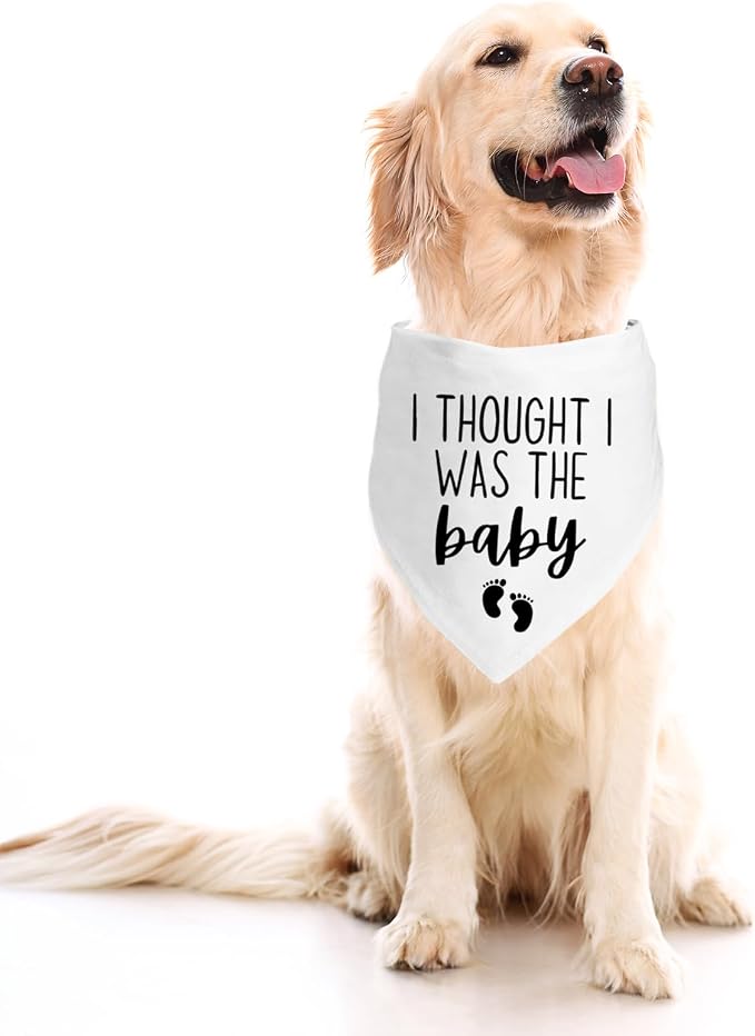Dog Pregnancy Announcement Bandana - Image 5