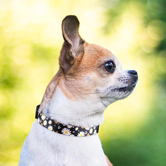QQPETS Adjustable Soft Dog Collar: Print Flower Pink Multicolor Cute Patterns - Image 5