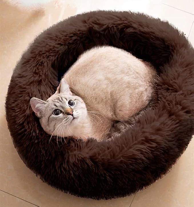 Cat Beds for Indoor Cats by Unknown