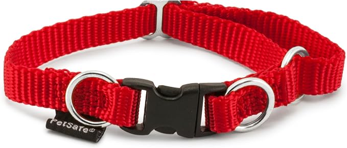 PetSafe KeepSafe Collar for Dogs by PetSafe
