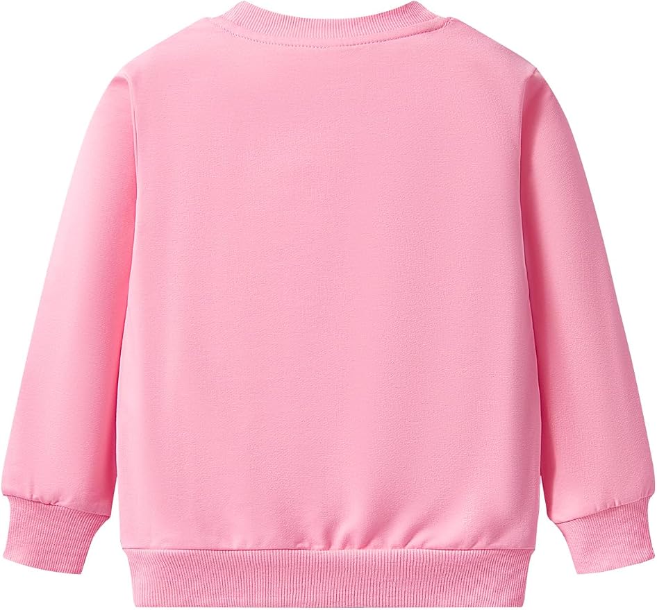 Toddler Baby Girls Cotton Sweater, Long Sleeve Crewneck Sweatshirt Pullover - Image 3