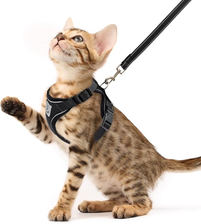 PUPTECK Cat Harness and Leash Set Escape Proof Reflective Cat Walking Harness by PUPTECK