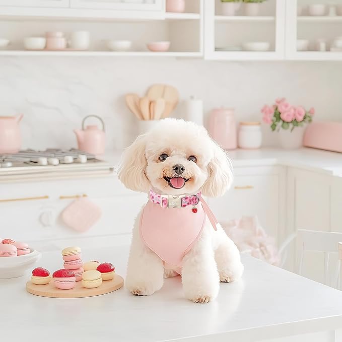 Strawberry Bow Dog Collar for Medium Dogs - Image 6