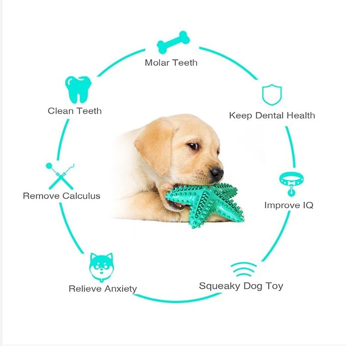Chew Toy for Dog Toothbrush Stick Dog Toys for Aggressive Chewers Interactive - Image 6