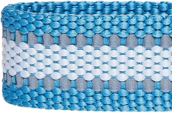 Blueberry Pet Essentials Reflective Dog Collar - Image 7