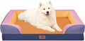 Comfort Expression Orthopedic Dog Bed by ComfortExpression
