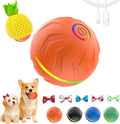 2026 T01 Interactive Dog Toys Dog Ball, Automatic Rolling and Bouncing Moving by Unknown
