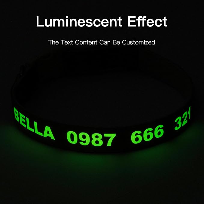 DOG WORLD Custom Fluorescent Dog Collar - Image 3